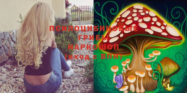 PSILOCYBIN Верхнеуральск