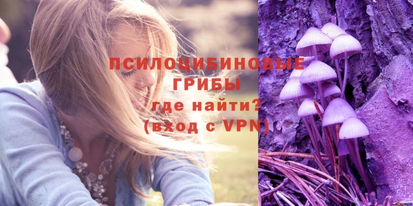 PSILOCYBIN Верхнеуральск