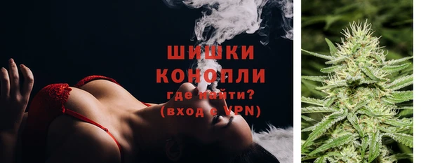 шишки Верхний Тагил