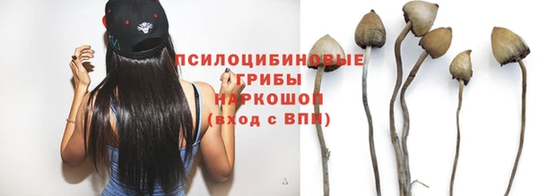 шишки Верхний Тагил