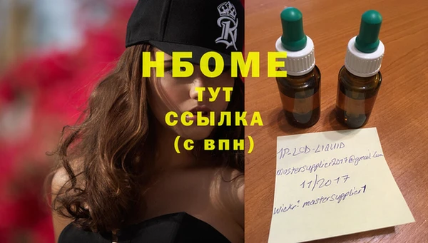шишки Верхний Тагил