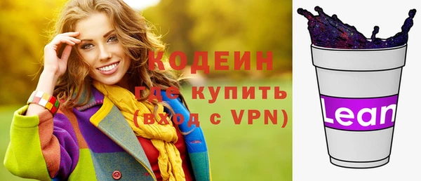 шишки Верхний Тагил